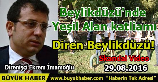 Beylikdüzü'nde yeşil alan katliamı