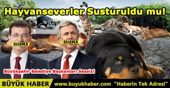 Hayvanseverler Susturuldu mu!