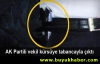 Canikli'nin kürsüde konuşurken tabancası göründü
