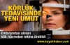 Körlük tedavisinde yeni umut