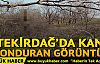 Tekirdağ'da kan donduran görüntü