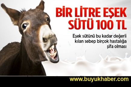 1 litre eşek sütü için 100 TL ödüyorlar