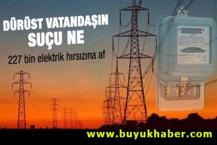 227 bin elektrik hırsızına af