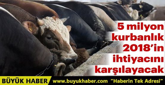 5 milyon kurbanlık var