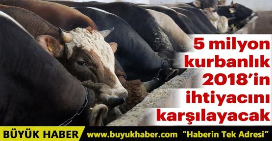 5 milyon kurbanlık var