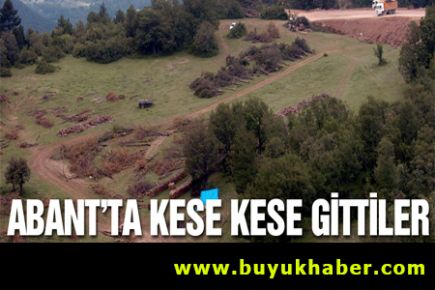 Abant'ın yanında ağaç katliamı