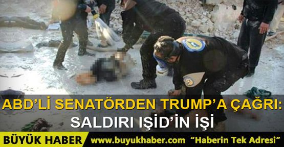 ABD’li senatör: İdlib saldırısı IŞİD’in işi