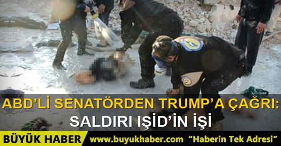 ABD'li senatör: İdlib saldırısı IŞİD'in işi