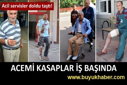 Acemi kasaplar iş başında