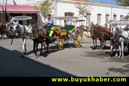 Adaların simgesi faytonlar kaldırılıyor!