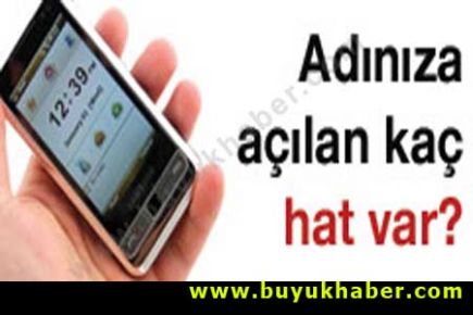 Adınıza açılmış kaç hat var?