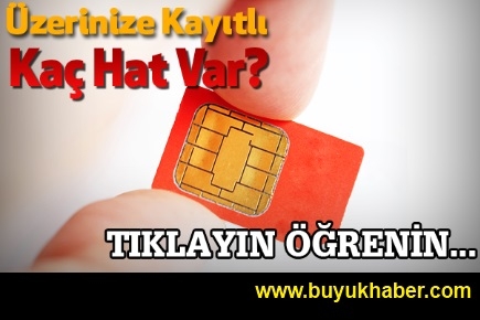 Adınıza kayıtlı kaç hat var?