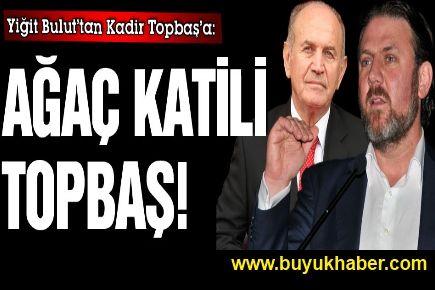 Ağaç katili Topbaş!