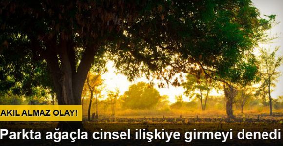 Ağaçla cinsel ilişkiye girmeye çalışırken yakalandı