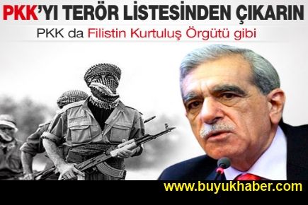   Ahmet Türk, sürece destek oranını açıkladı