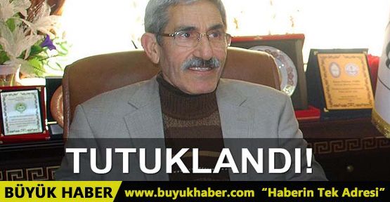 Ahmet Türk'ün yeğeni Ferhan Türk tutuklandı