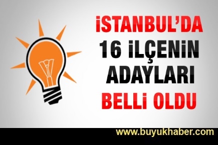 AK Parti'nin İstanbul adayları belli oldu