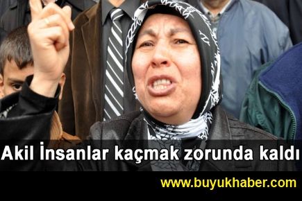 Akil İnsanlar kaçmak zorunda kaldı