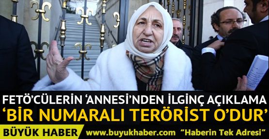 Akın İpek'in annesi Melek İpek'ten flaş açıklama: Bir numaralı teröristtir