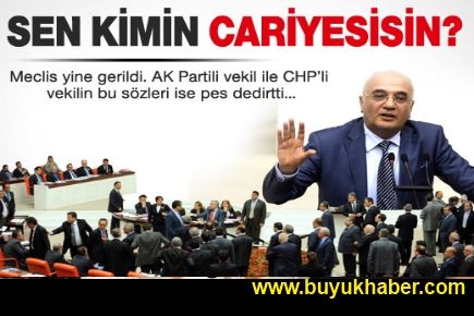 AKP'li Elitaş'tan CHP'li vekile: Sen kimin cariyesisin