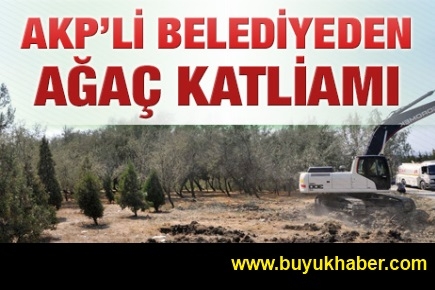 AKP'li Esenyurt belediyesinden ağaç katliamı