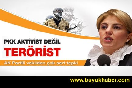 AKP'li Kara: PKK'lılar aktivist değil terörist