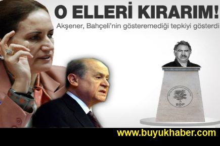 Akşener Bahçeli'nin gösteremediği tepkiyi gösterdi