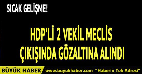 Ankara'da HDP'li iki vekile gözaltı