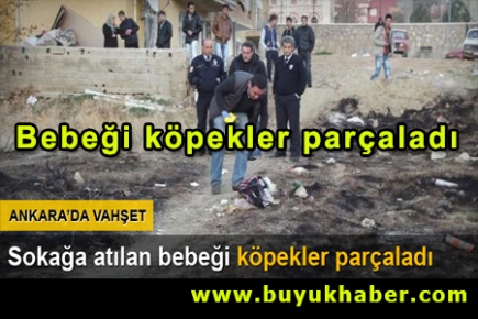Ankara'da sokağa atılan bebeği köpekler parçaladı