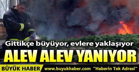 Antalya'da orman yangını! Havadan ve karadan müdahale ediliyor