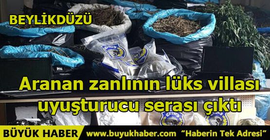 Aranan zanlının lüks villası uyuşturucu serası çıktı