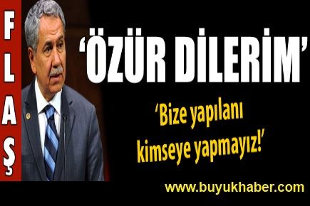 Arınç: 'Özür dilerim'