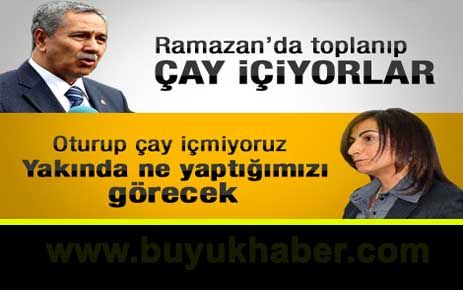 Arınç yemin etmeyen BDP'lilere sert çıktı.