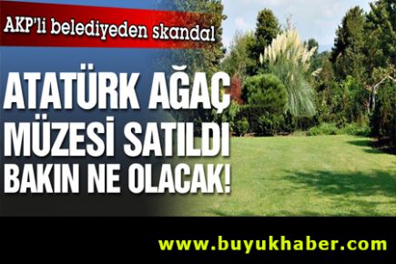 Atatürk Canlı Ağaç Müzesi'ni de rezidans olsun diye sattılar!