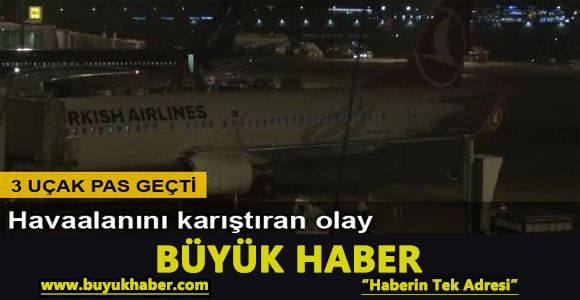Atatürk Havalimanı apronuna köpekler girdi, 3 uçak pas geçti