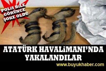 ATATÜRK HAVALİMANI'NDA YAKALANDILAR