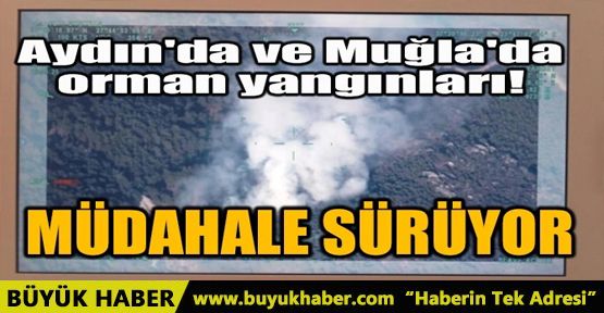 AYDIN'DA VE MUĞLA'DA ORMAN YANGINLARI: MÜDAHALE SÜRÜYOR