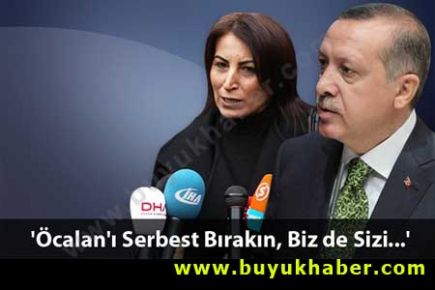 Aysel Tuğluk'tan Erdoğan'a Mektup