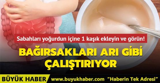 Bağırsakları arı gibi çalıştırıyor