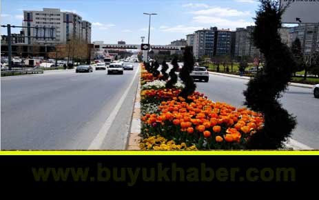 BAHAR İLE BİRLİKTE BEYLİKDÜZÜ`NÜN YEŞİLİ DE YÜZÜNÜ GÖSTERDİ