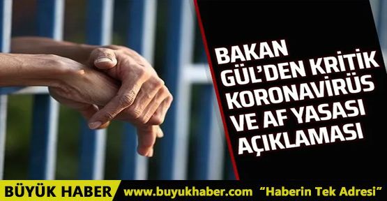 Bakan Gül'den af açıklaması