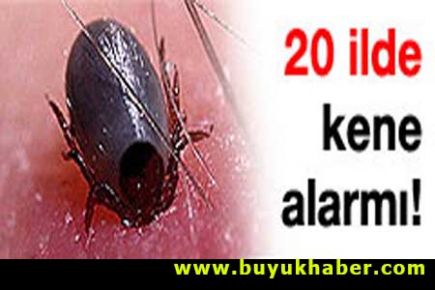 Bakanlığın kene alarmı verdiği 20 il