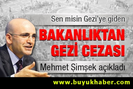 Bakanlıktan Gezi cezası