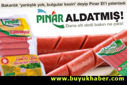 Bakanlık'tan Pınar'a yalanlama