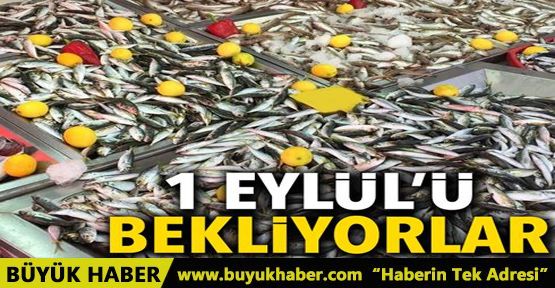 Balıkçılar 1 Eylül'ü bekliyor