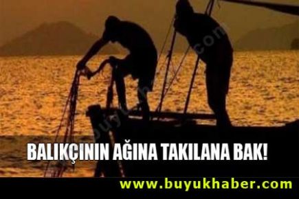Balıkçının ağına takılana bak!