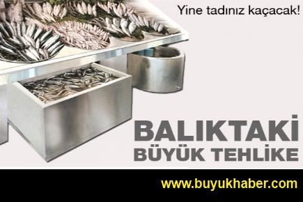 Balıktaki büyük tehlike ortaya çıktı