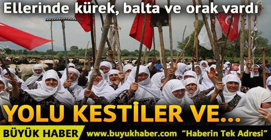 Balta, orak ve tırpanlarla yolu kestiler