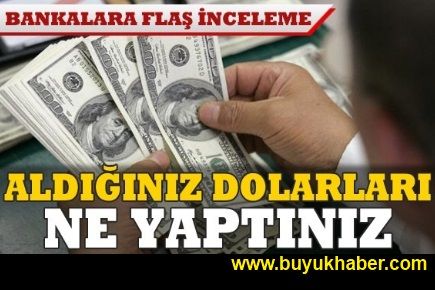 Bankalara 'dolar neden düşmedi' incelemesi