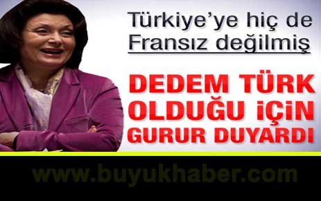Başbakan'ın Türkiye'ye Fransız dediği parlamenter konuştu